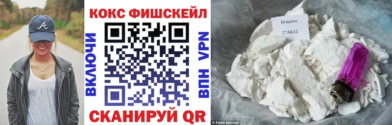 Cocaine FishScale  Купить закладки  Спас-Деменск 