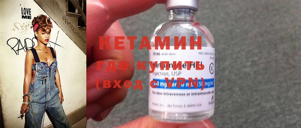 сатива Каменка