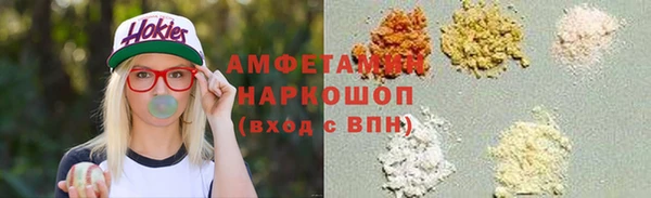 сатива Каменка