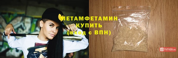 сатива Каменка