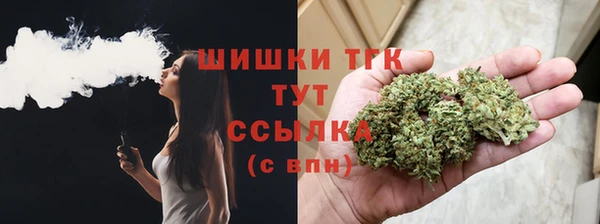 сатива Каменка