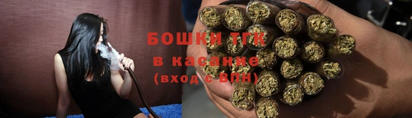 сатива Каменка