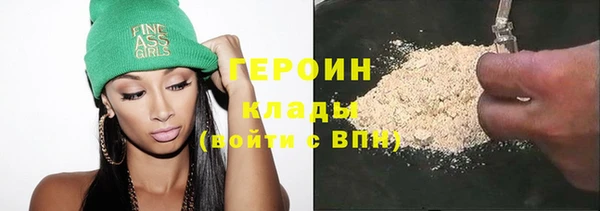 сатива Каменка