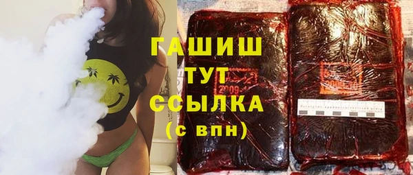 сатива Каменка