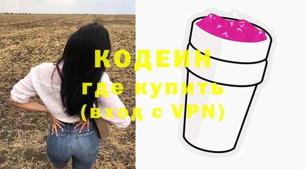сатива Каменка