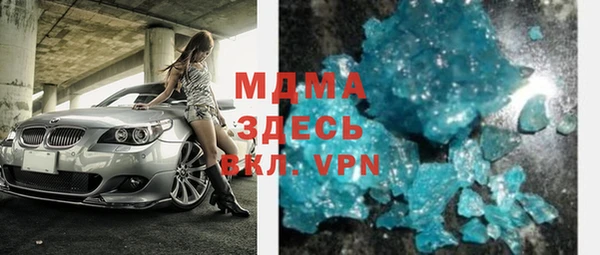 сатива Каменка