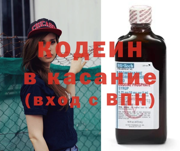 сатива Каменка