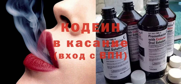 сатива Каменка