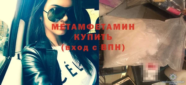 сатива Каменка