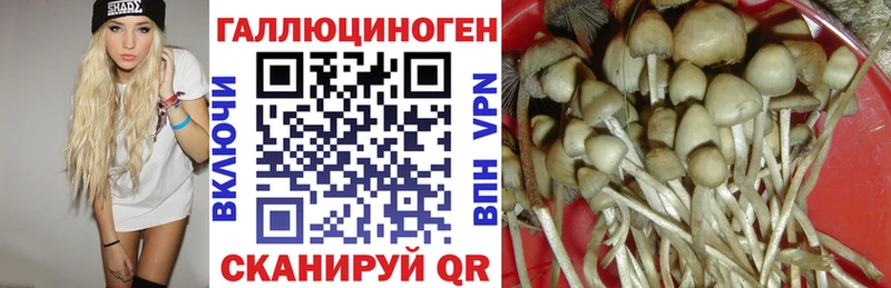 Купить закладки  Спас-Деменск  Галлюциногенные грибы мухоморы 